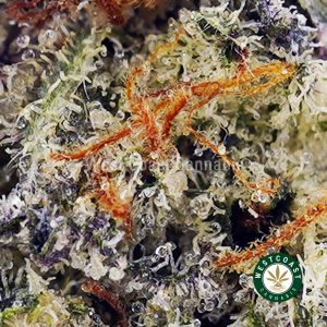 Buy Pink Bubba AAAA wc cannabis weed dispensary & online pot shop