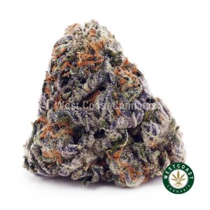 Buy Slurricane AAAA wc cannabis weed dispensary & online pot shop