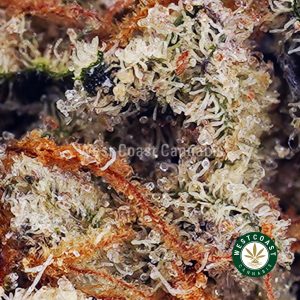 Buy Khalifa Kush AAAA wc cannabis weed dispensary & online pot shop