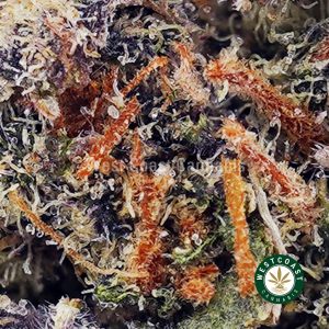 Buy Blueberry Kush AAAA wc cannabis weed dispensary & online pot shop