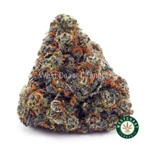 Buy Grape Stomper AAA wc cannabis weed dispensary & online pot shop