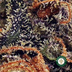 Buy Grape Stomper AAA wc cannabis weed dispensary & online pot shop