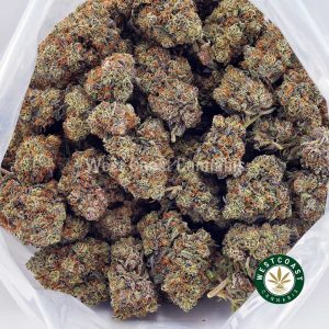 Buy Grape Stomper AAA wc cannabis weed dispensary & online pot shop