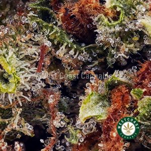 Buy Lemon Cake AAA wc cannabis weed dispensary & online pot shop