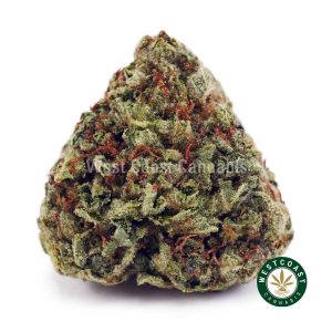 Buy Biscotti Cookies AAA wc cannabis weed dispensary & online pot shop
