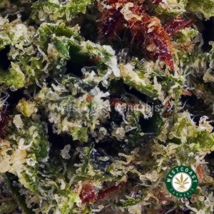 Buy Biscotti Cookies AAA wc cannabis weed dispensary & online pot shop