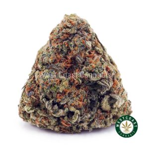 Buy Biscotti Blanco AAAA wc cannabis weed dispensary & online pot shop
