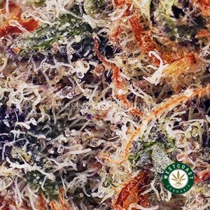 Buy Silverback Gorilla AAAA wc cannabis weed dispensary & online pot shop