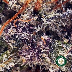 Buy Purple Freeze AAA wc cannabis weed dispensary & online pot shop