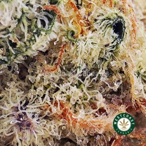 Buy Goose Berry AAAA wc cannabis weed dispensary & online pot shop