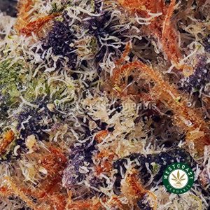 Buy Gorilla OG AAAA wc cannabis weed dispensary & online pot shop