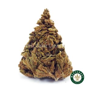 Buy Key Lime Pie AA wc cannabis weed dispensary & online pot shop