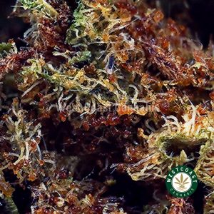 Buy Key Lime Pie AA wc cannabis weed dispensary & online pot shop