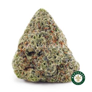 Buy Sundae Driver AAA wc cannabis weed dispensary & online pot shop