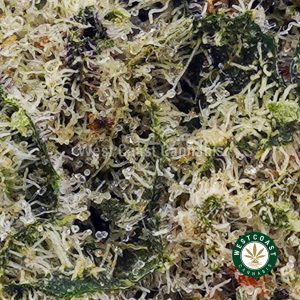 Buy Sundae Driver AAA wc cannabis weed dispensary & online pot shop