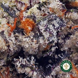 Buy LSO - Incredible Hulk AAAA+ wc cannabis weed dispensary & online pot shop