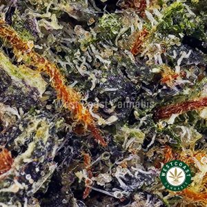 Buy Chemdawg AAA wc cannabis weed dispensary & online pot shop