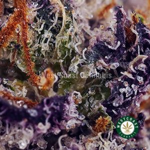 Buy Alice in Wonderland AAAA wc cannabis weed dispensary & online pot shop