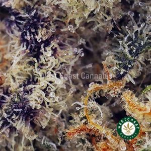 Buy Cosmic Cookies AAAA (Popcorn Nugs) wc cannabis weed dispensary & online pot shop