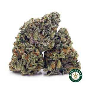 Buy Snoop Dog OG AAAA (Popcorn Nugs) wc cannabis weed dispensary & online pot shop