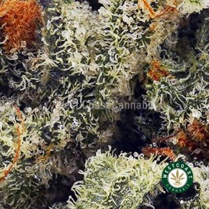 Buy Snoop Dog OG AAAA (Popcorn Nugs) wc cannabis weed dispensary & online pot shop