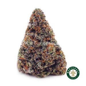 Buy Strawberry Cough AAA wc cannabis weed dispensary & online pot shop