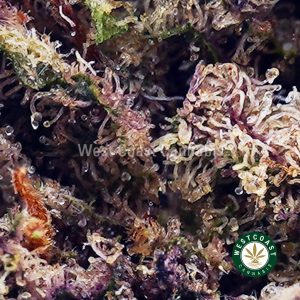 Buy Strawberry Cough AAA wc cannabis weed dispensary & online pot shop