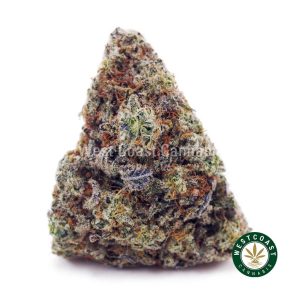 Buy White Rhino AAA wc cannabis weed dispensary & online pot shop