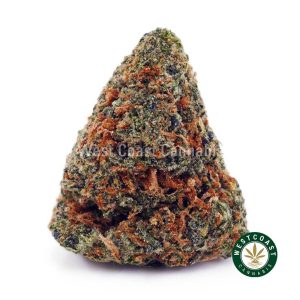 Buy Fortune Cookies AAAA wc cannabis weed dispensary & online pot shop