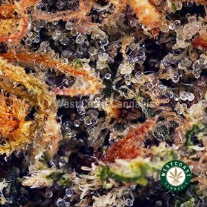 Buy Fortune Cookies AAAA wc cannabis weed dispensary & online pot shop