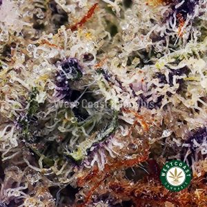 Buy Gorilla Cookies AAA wc cannabis weed dispensary & online pot shop