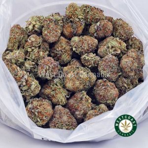 Buy Gorilla Cookies AAA wc cannabis weed dispensary & online pot shop