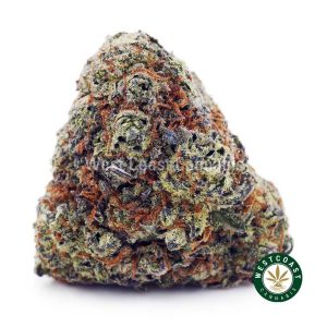 Buy Purple Urkle AAAA wc cannabis weed dispensary & online pot shop