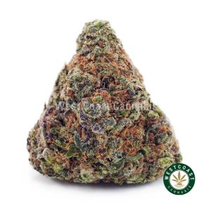 Buy Columbian Gold AA wc cannabis weed dispensary & online pot shop