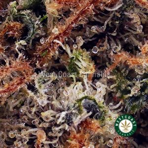 Buy Columbian Gold AA wc cannabis weed dispensary & online pot shop