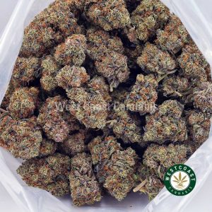 Buy Runtz AAAA wc cannabis weed dispensary & online pot shop