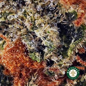 Buy Blackberry Haze AA wc cannabis weed dispensary & online pot shop