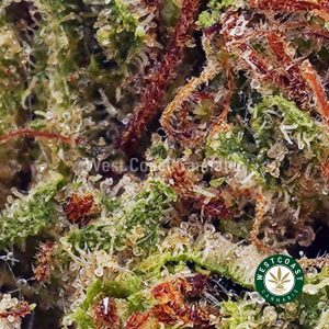 Buy Guava Cake AAAA (Popcorn Nugs) wc cannabis weed dispensary & online pot shop