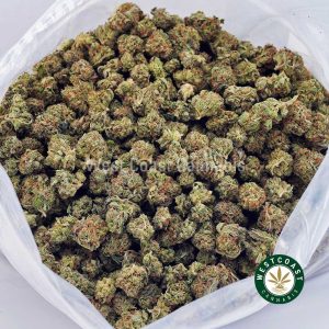 Buy Guava Cake AAAA (Popcorn Nugs) wc cannabis weed dispensary & online pot shop