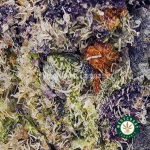 Buy Apple Fritter AAAA+ wc cannabis weed dispensary & online pot shop