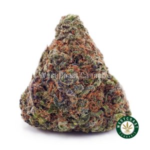 Buy Animal Crackers AAA wc cannabis weed dispensary & online pot shop