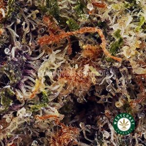 Buy Animal Crackers AAA wc cannabis weed dispensary & online pot shop