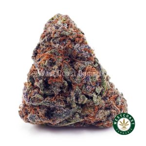 Buy Chocolope AA wc cannabis weed dispensary & online pot shop