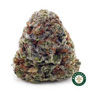 Buy King Kong AA wc cannabis weed dispensary & online pot shop