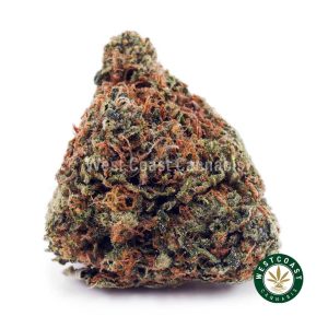 Buy UK Cheese AA wc cannabis weed dispensary & online pot shop