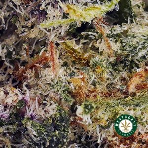 Buy Mendo Cookies AA wc cannabis weed dispensary & online pot shop