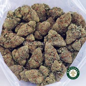 Buy Durban Poison AA wc cannabis weed dispensary & online pot shop