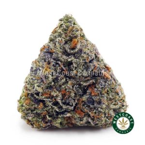 Buy Comatose OG AA wc cannabis weed dispensary & online pot shop