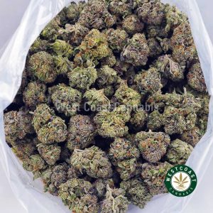 Buy Comatose OG AA wc cannabis weed dispensary & online pot shop
