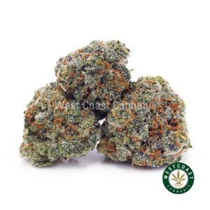 Buy Guava Cookies AAAA (Popcorn Nugs) wc cannabis weed dispensary & online pot shop
